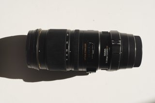 Canon 5D Mark III + Sigma 70-200mm f/2.8