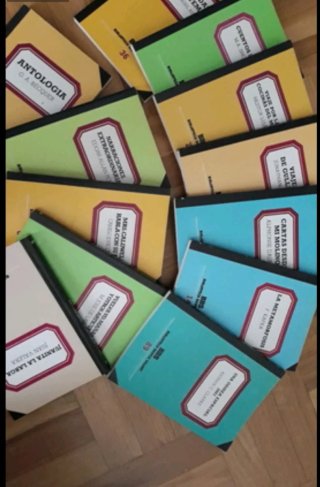 Colección 100 libros