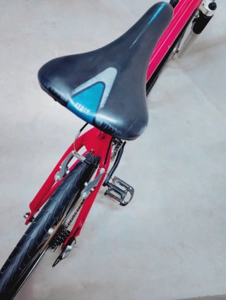 Bicicleta MTB Clásica
