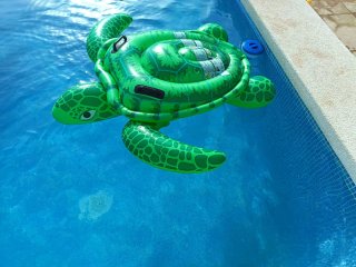 Flotador Tortuga Piscina