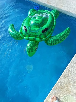 Flotador Tortuga Piscina