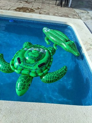 Flotador Tortuga Piscina