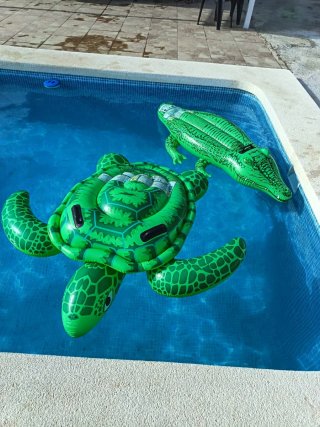 Flotador Tortuga Piscina