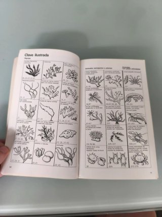 Libro guía flora fauna mediterráneo