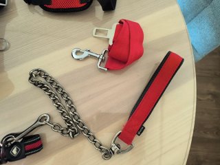 Kit Accesorios Perro: Collar, Correa, Arnés
