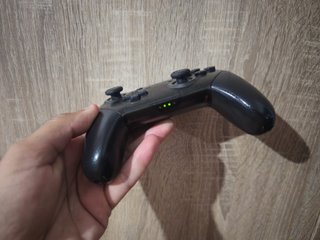 Mando Nintendo Switch Pro