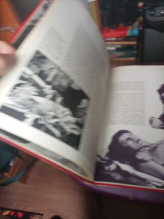 Libro El vampiro en el cine