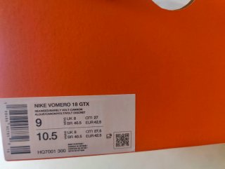 Nike Vomero 18 Gore-Tex Zapatillas Running