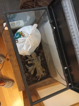 Acuario Negro y Marrón