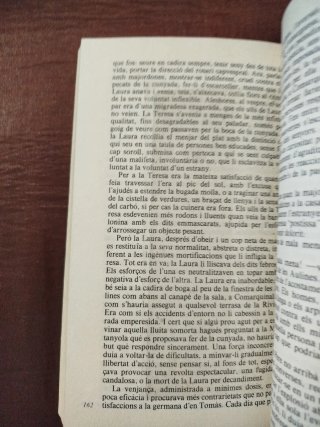 Laura a la ciutat dels sants (Catalan Edition)