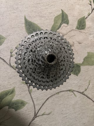 Transmisión  Campagnolo 13v Mecánico