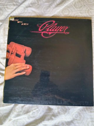 2 LPs The Hollies Player