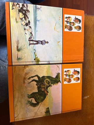 Lote 2 Libros: Los Hollister (Ediciones Toray)