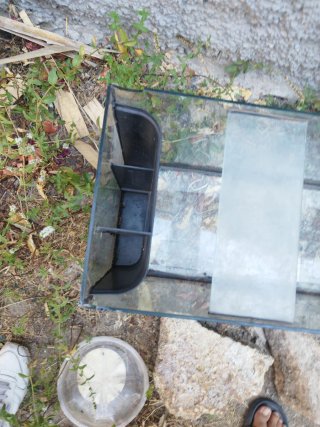 Pecera de cristal