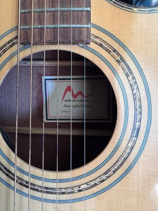 Guitarra Electroacústica Spread & Music Cutaway