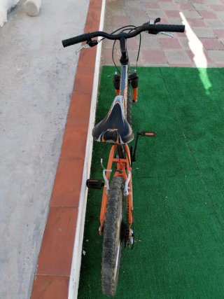 Bicicleta Boomerang 20