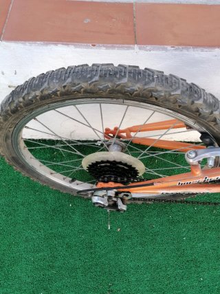 Bicicleta Boomerang 20