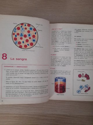 Libro de texto observo y experimento 5 EGB 1980