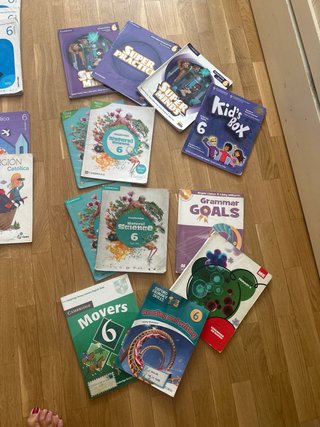 Libros 6 Primaria varias editoriales