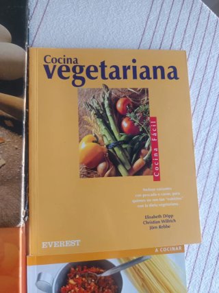 Lote 9 libros cocina: Vegetariana, menús, tortilla