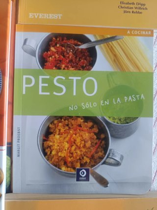 Lote 9 libros cocina: Vegetariana, menús, tortilla