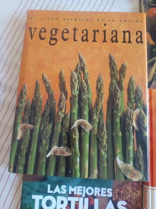 Lote 9 libros cocina: Vegetariana, menús, tortilla