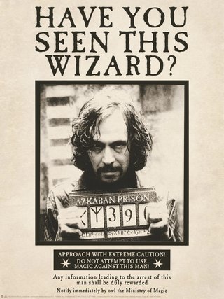 Cuadro Sirius Black Se Busca
