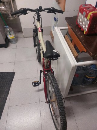 Bicicleta Rockrider 24 Montaña