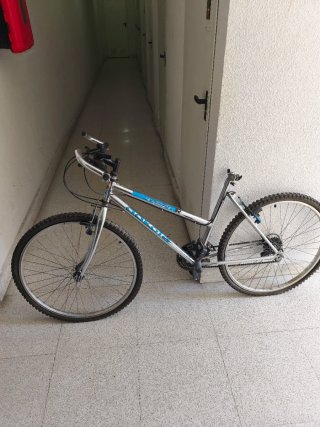 Bicicleta de montaña plateada