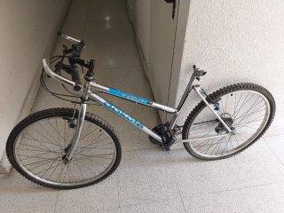 Bicicleta de montaña plateada