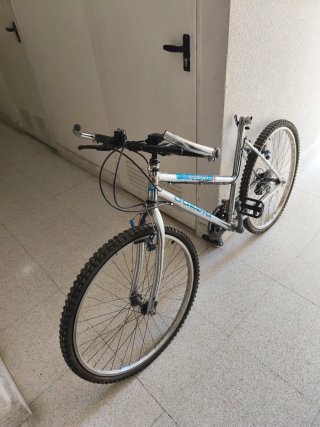 Bicicleta de montaña plateada