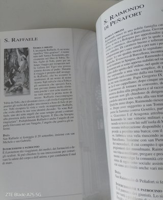 I grandi santi. Storia e culto di Laurence Albert