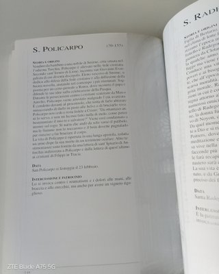 I grandi santi. Storia e culto di Laurence Albert