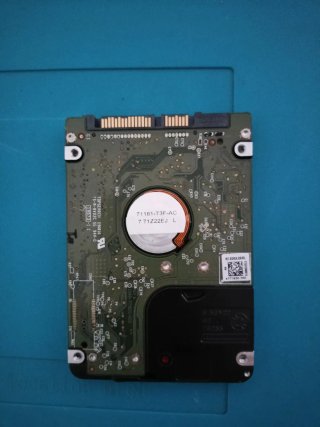 Disco Duro 320GB WD WD3200BPVT