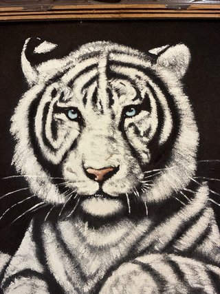 Quadro Tigre Bianco Indio