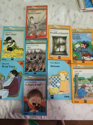 Lote de 11 libros de "EL BARCO DE VAPOR"
