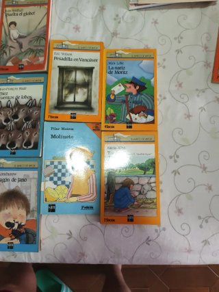 Lote de 11 libros de "EL BARCO DE VAPOR"