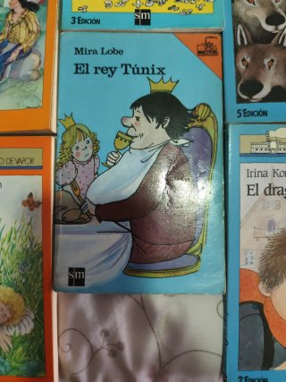 Lote de 11 libros de "EL BARCO DE VAPOR"