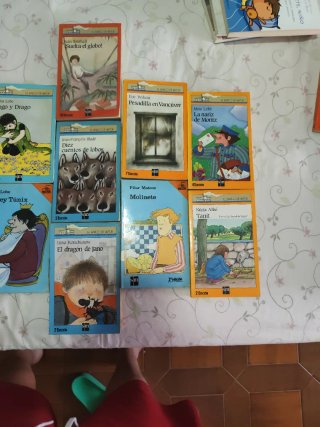 Lote de 11 libros de "EL BARCO DE VAPOR"