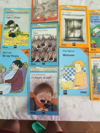 Lote de 11 libros de "EL BARCO DE VAPOR"