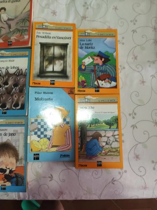 Lote de 11 libros de "EL BARCO DE VAPOR"