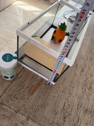 Pecera para tortugas con accesorios