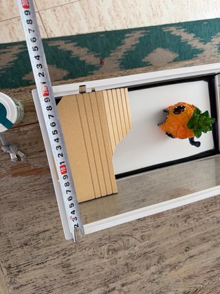 Pecera para tortugas con accesorios