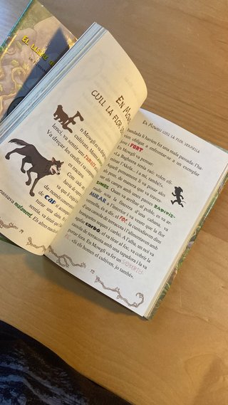 El Llibre de la Selva - Geronimo Stilton