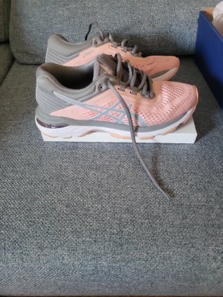 Zapatillas Asics Dynamics Mujer Rosa/Gris