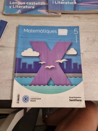 MATEMATIQUES 5 PRIMARIA CONSTRUINT MONS