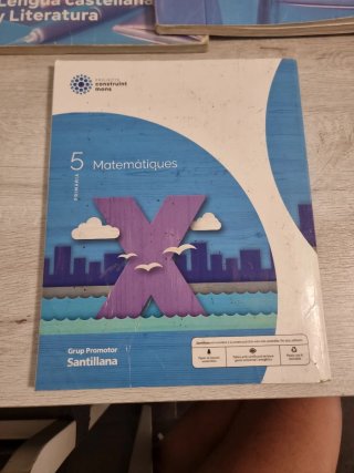 MATEMATIQUES 5 PRIMARIA CONSTRUINT MONS