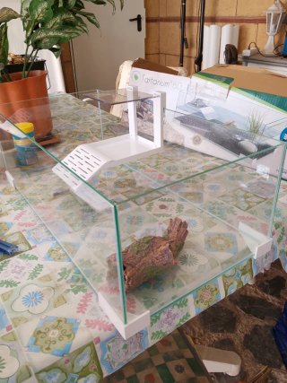 Tartarium 60 Tortuguero