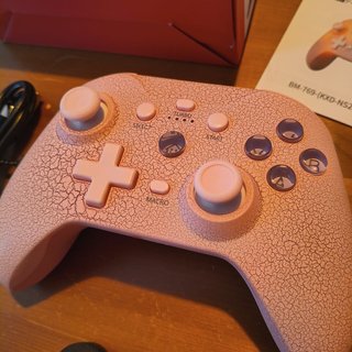Controller Wireless RGB NS21 per Nintendo Switch/P