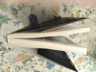El giro : de cómo un manuscrito olvidado contri...